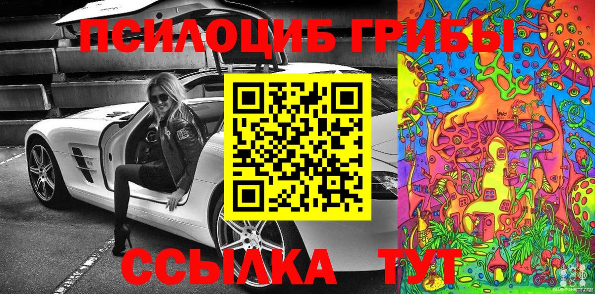 Галлюциногенные грибы Cubensis Кудымкар