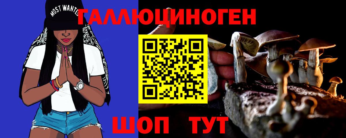 Кудымкар  хочу наркоту  Галлюциногенные грибы MAGIC MUSHROOMS  Вход с VPN  Псилоцибиновые грибы мухоморы 
